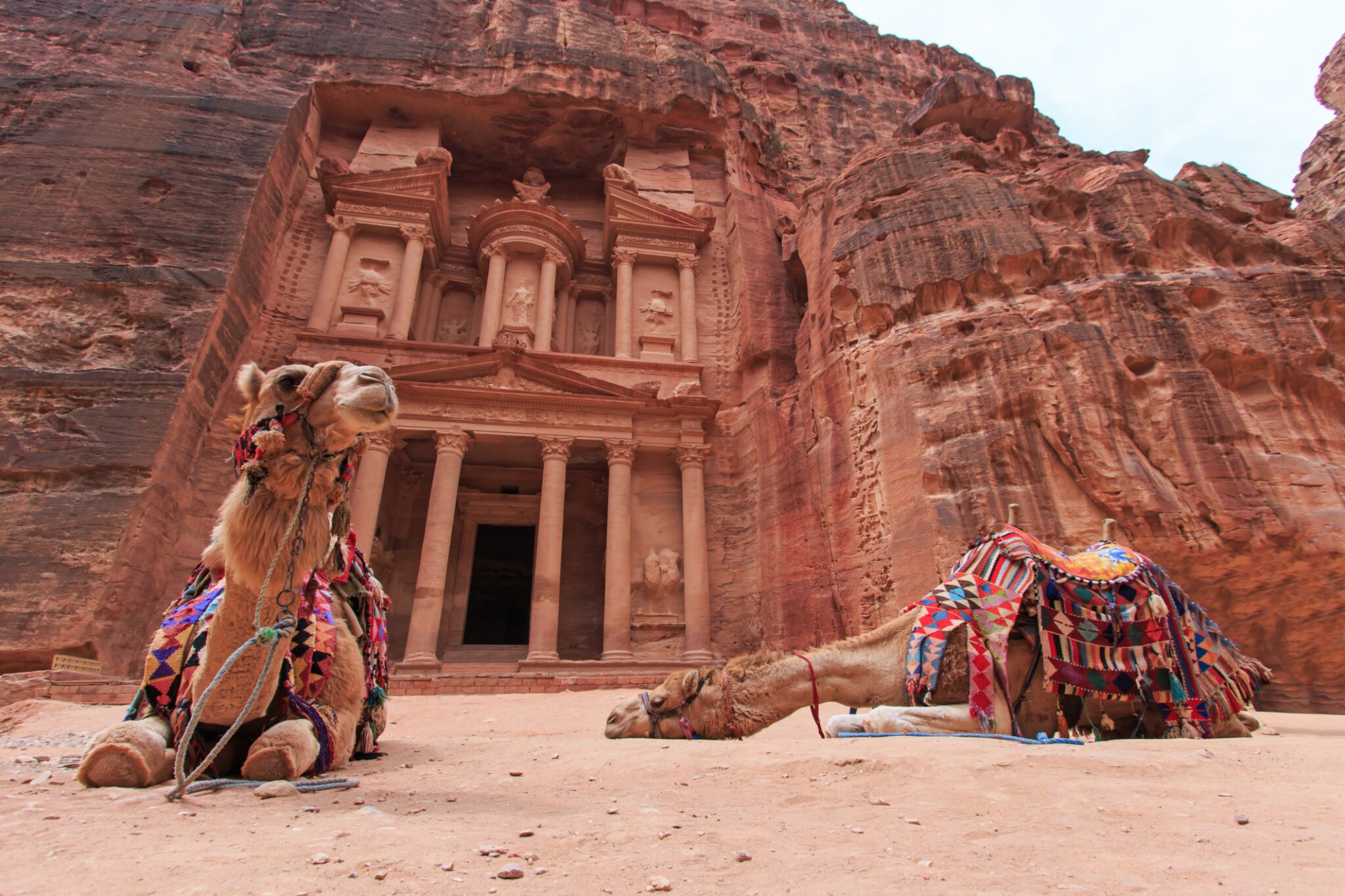 jordan petra camels 472980848 scaled
